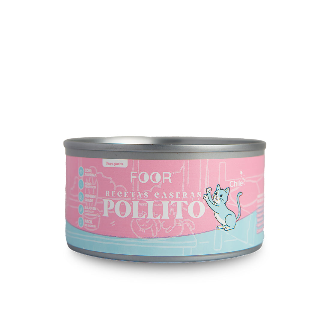 Pollito para gatos