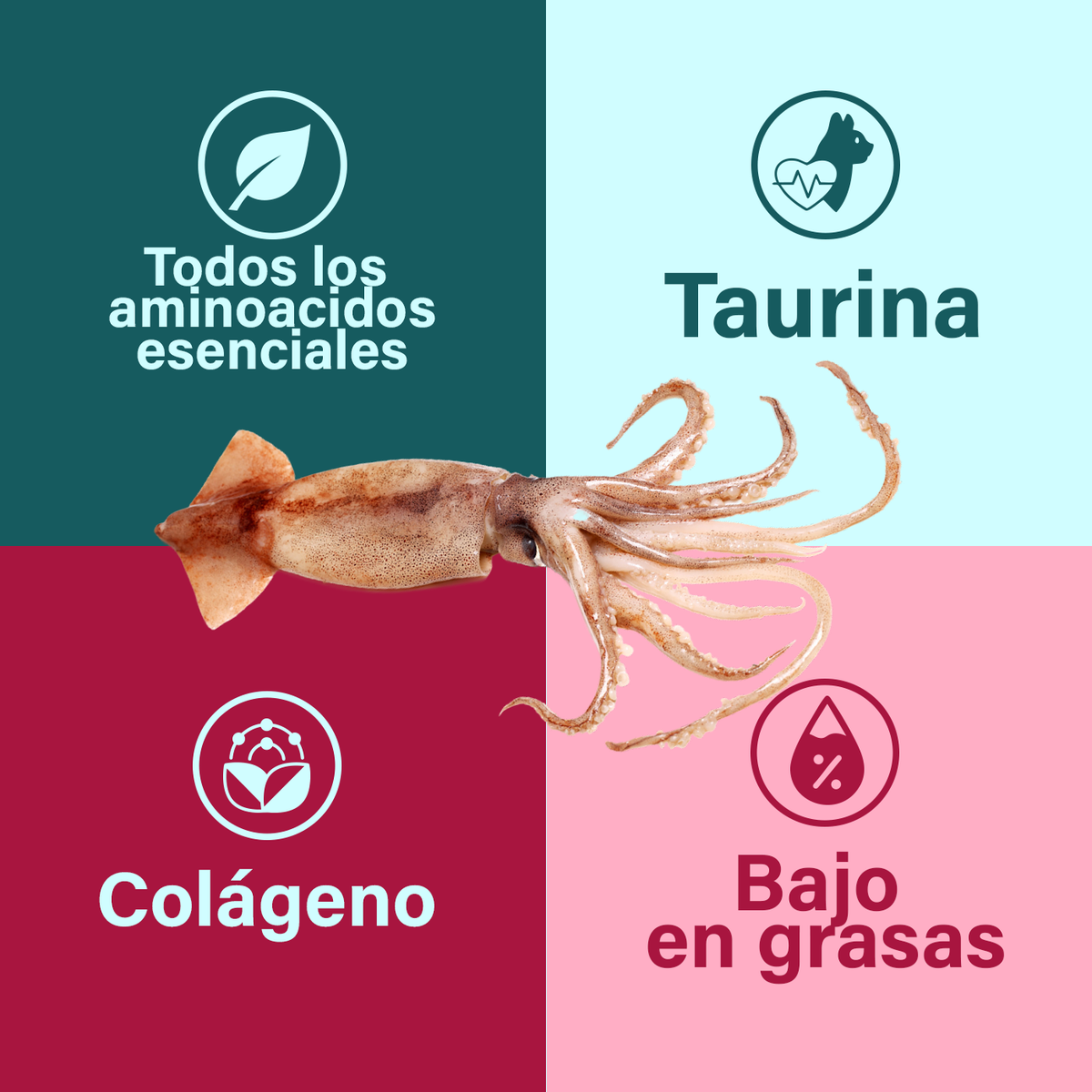 - Pack Mix 6 - Alimento Húmedo Salmón y Calamar para Perros