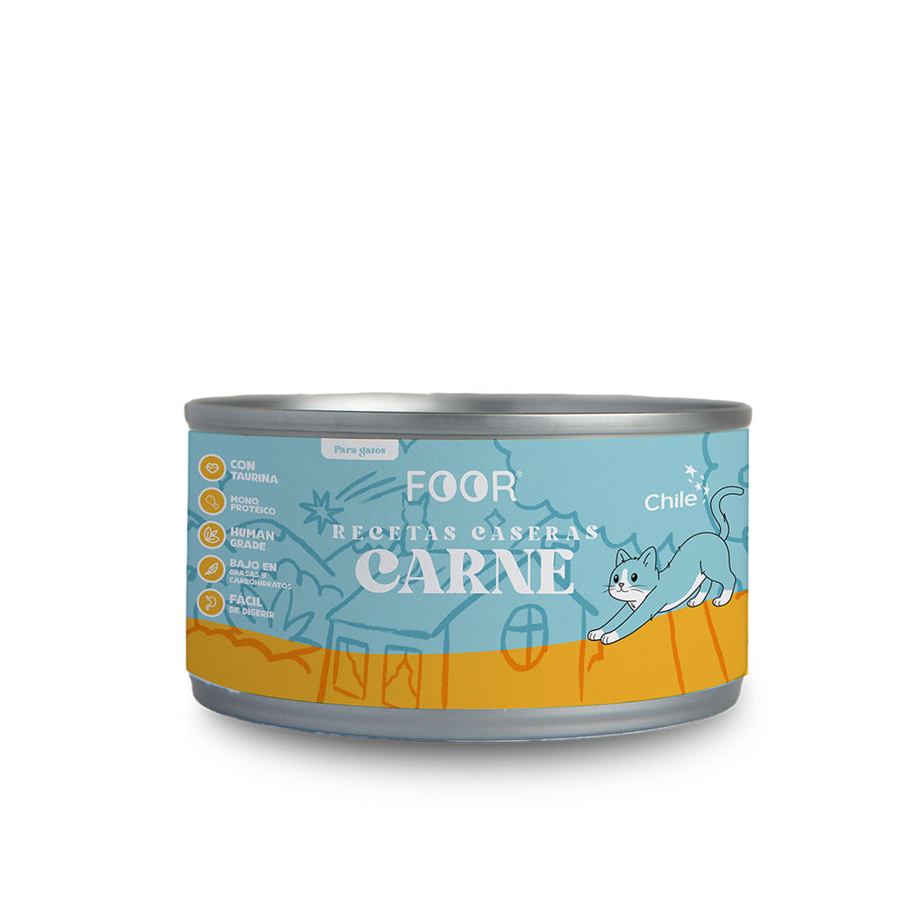 Recetas Caseras Carne para gatos