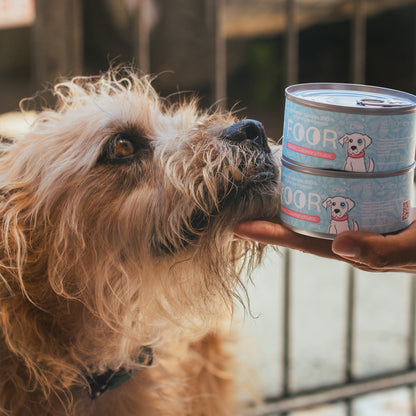 Foor original para perros