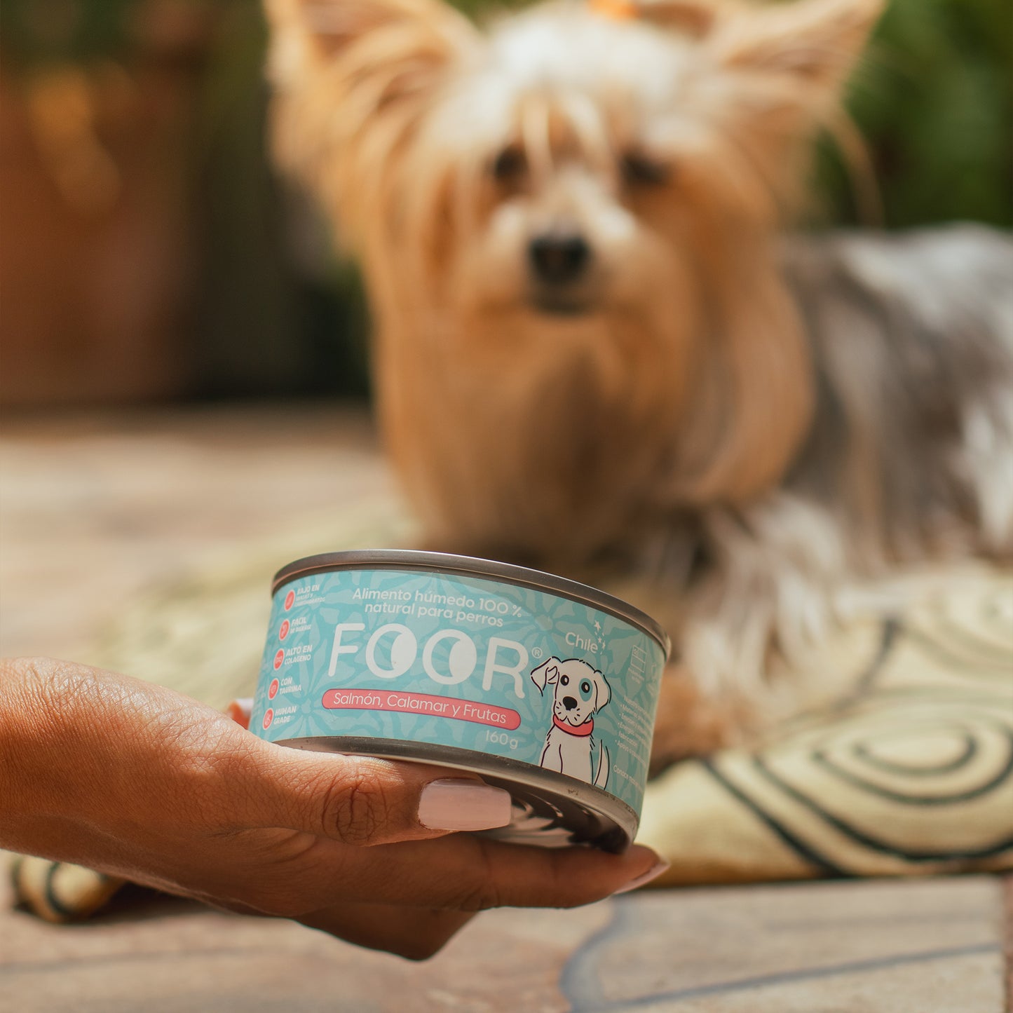 Foor original para perros