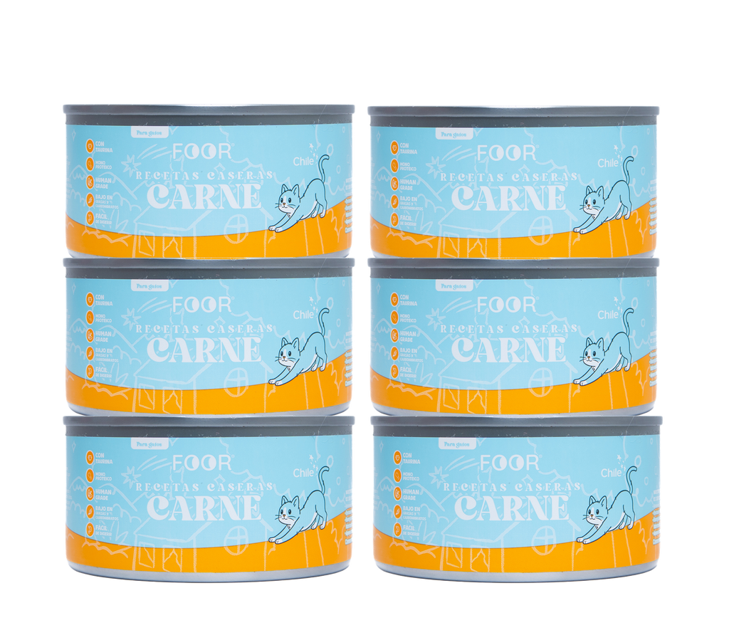 Pack 6 unidades carne para gatos