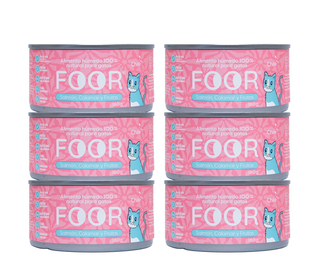 Pack 6 unidades salmón calamar para gatos