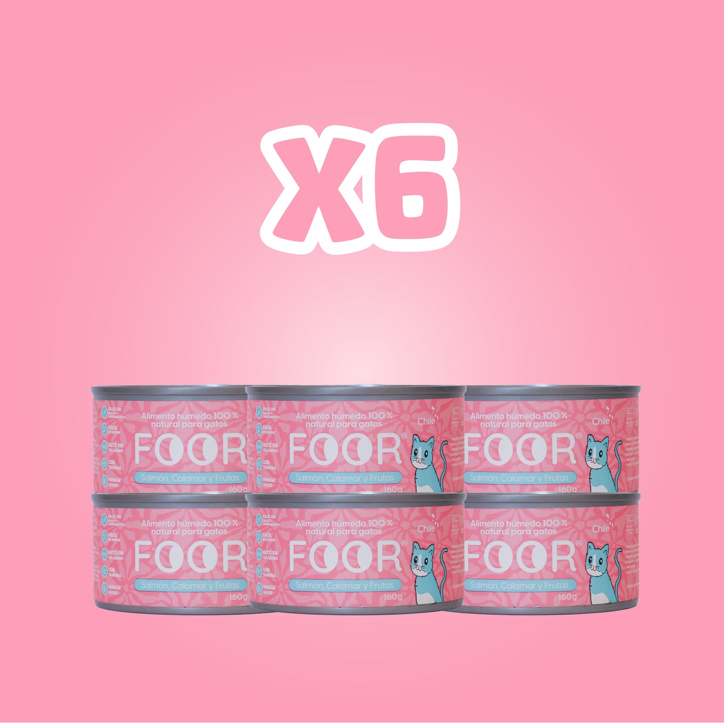 Foor original para gatos x6