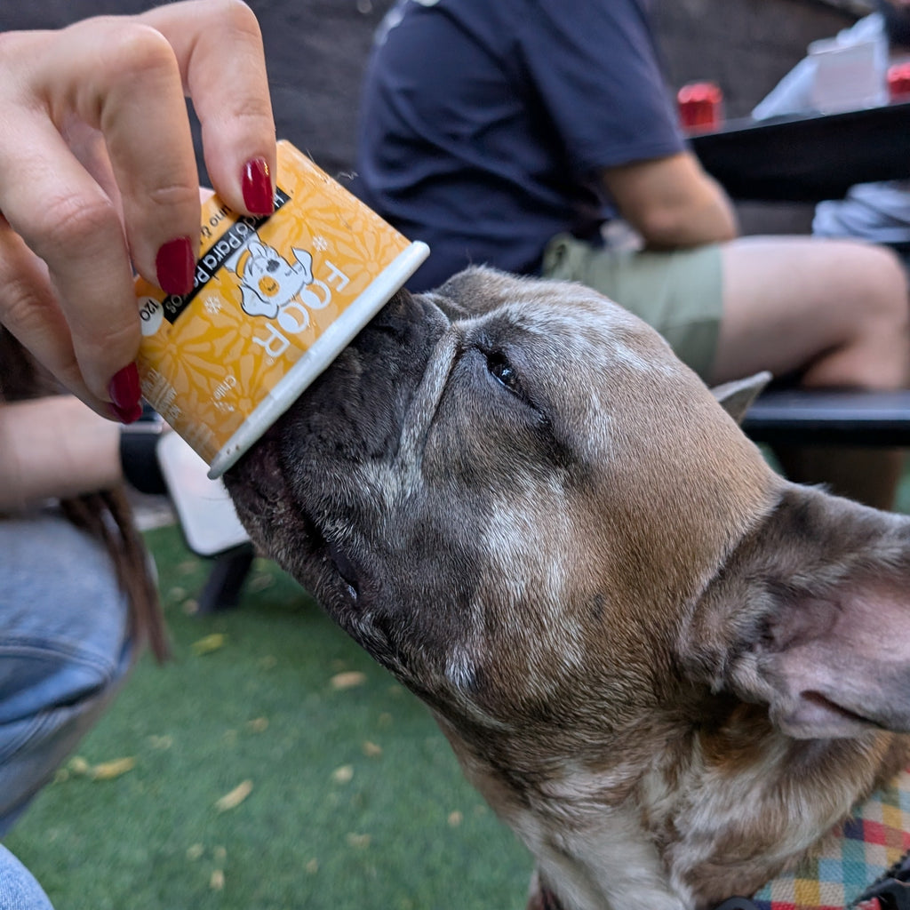 Helado para perros