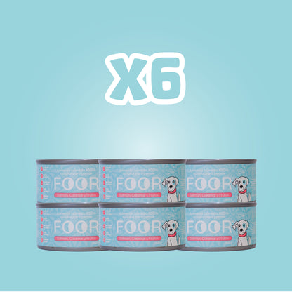 Foor original para perros x6