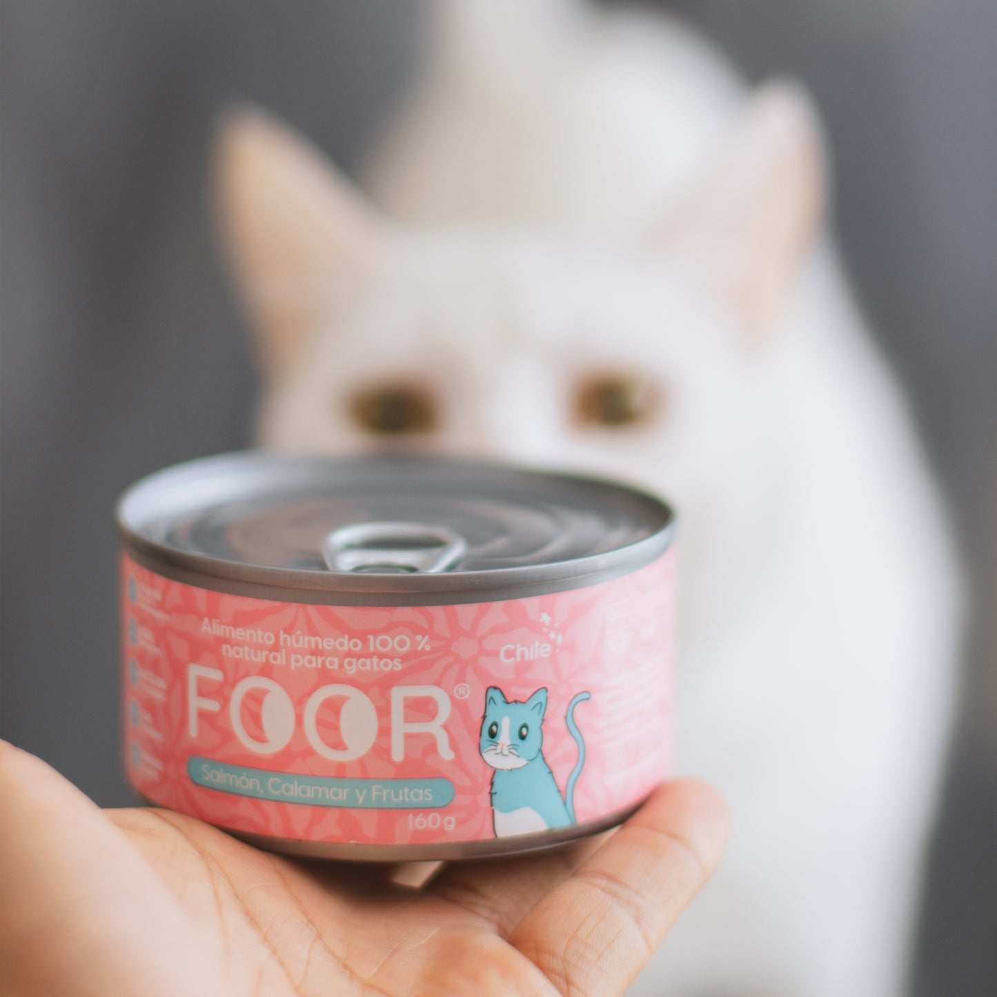 Foor original para gatos