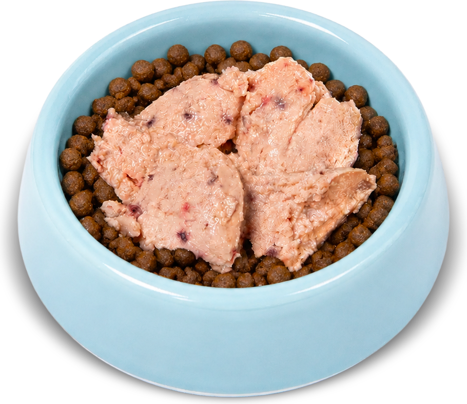 Bowl celeste con Foor sobre alimento seco