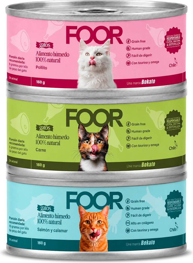 Las tres recetas Foor para gatos
