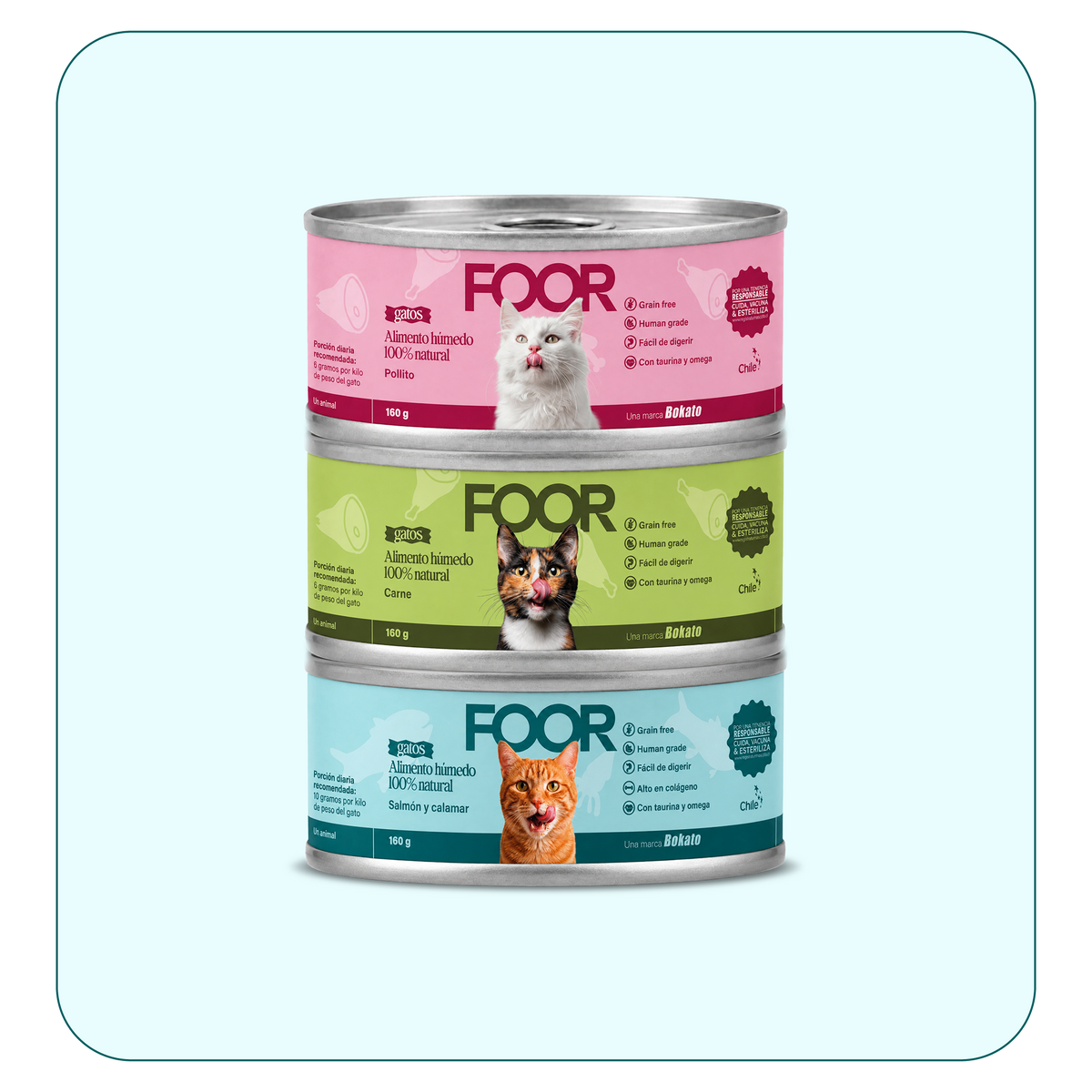 Alimento húmedo para gatos