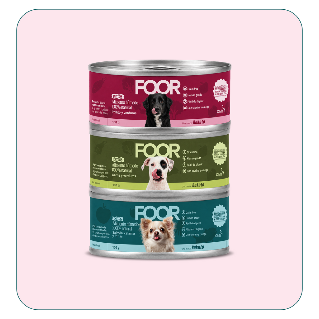 Alimento húmedo para perros