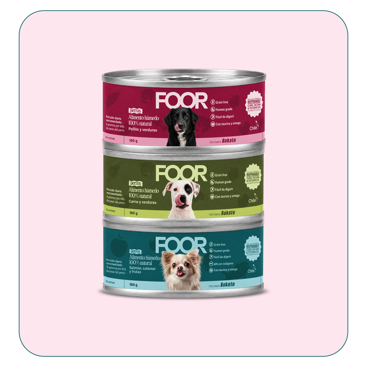 Alimento húmedo para perros