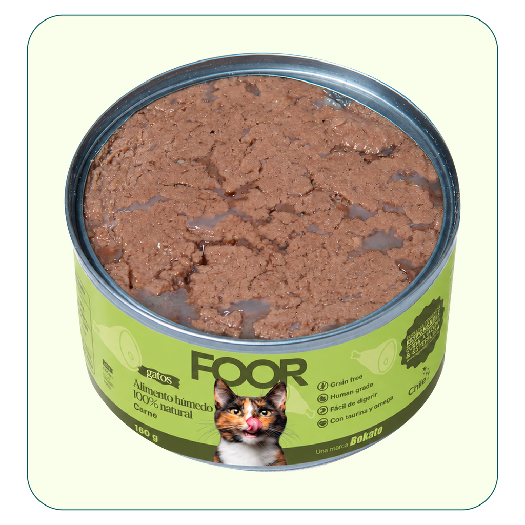 Alimento húmedo para gatos