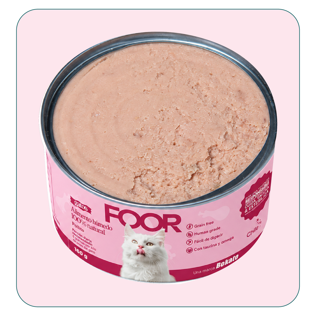 Alimento húmedo para gatos