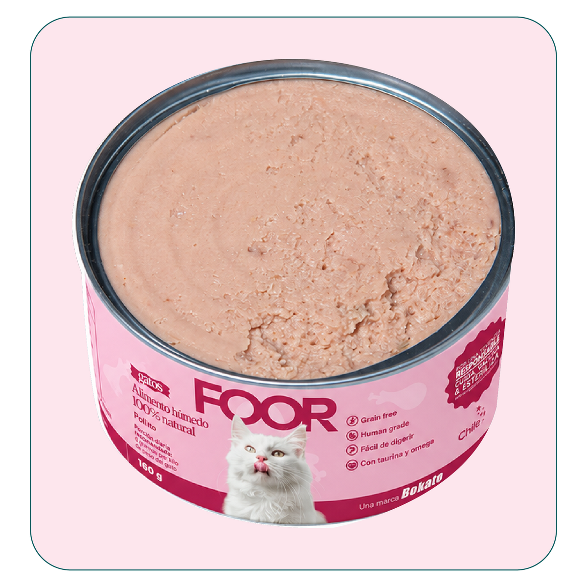 Alimento húmedo para gatos