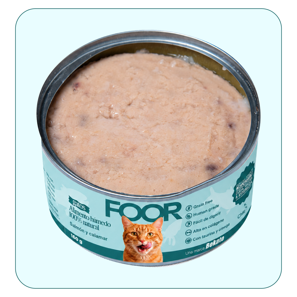 Alimento húmedo para gatos