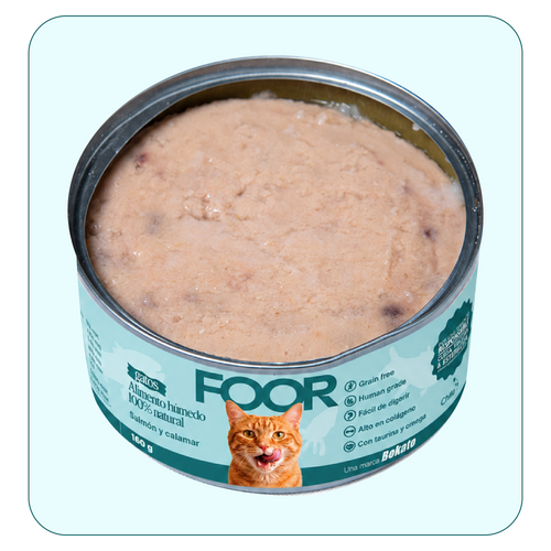 Alimento húmedo para gatos