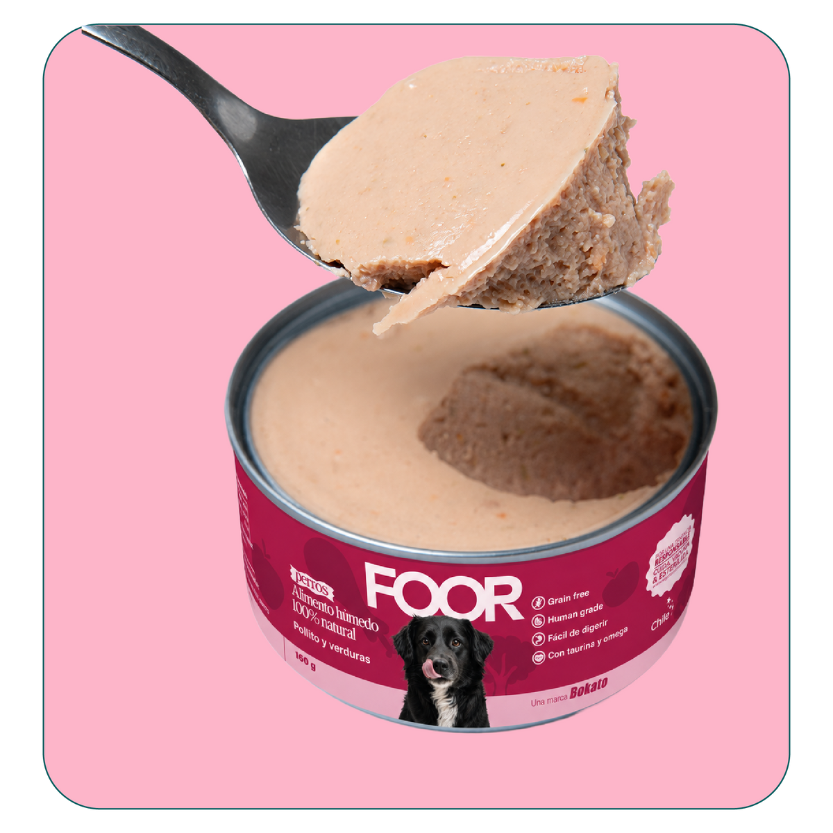 Alimento húmedo para perros