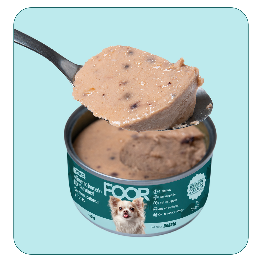 Alimento húmedo para perros