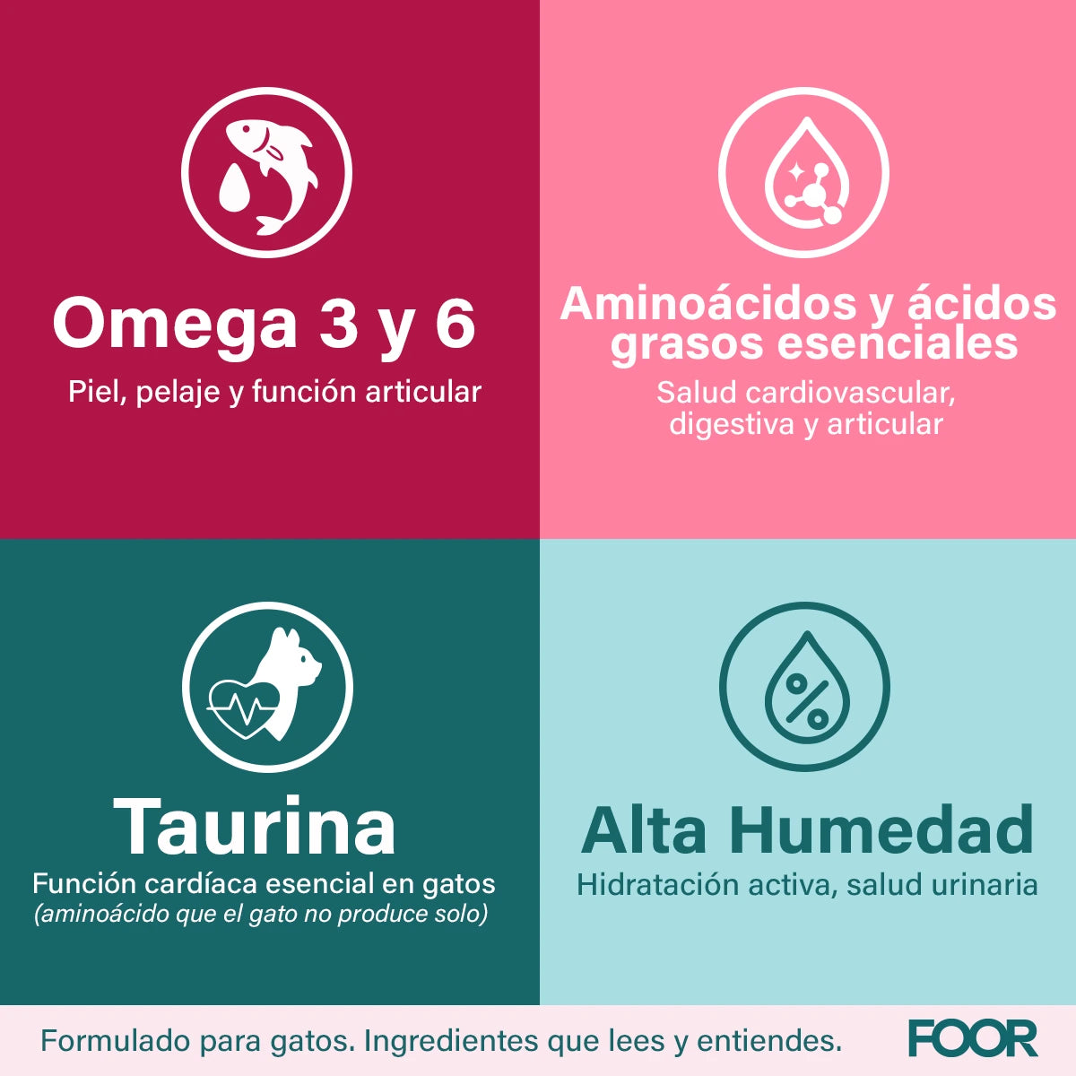 Pack 12 unidades mix para gatos