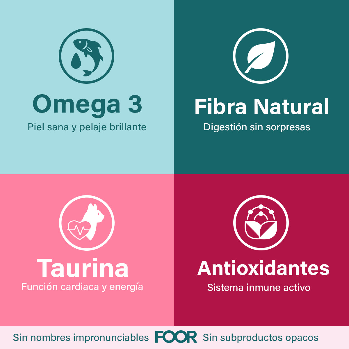 - Pack Mix 12 - Alimento Húmedo Cocinado para Perros