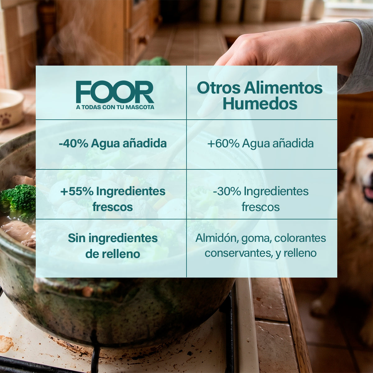 - Pack Mix 12 - Alimento Húmedo Cocinado para Perros