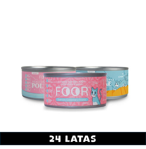 Pack mix x24 para gatos