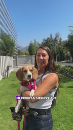 - Pack Mix 12 - Alimento Húmedo Cocinado para Perros