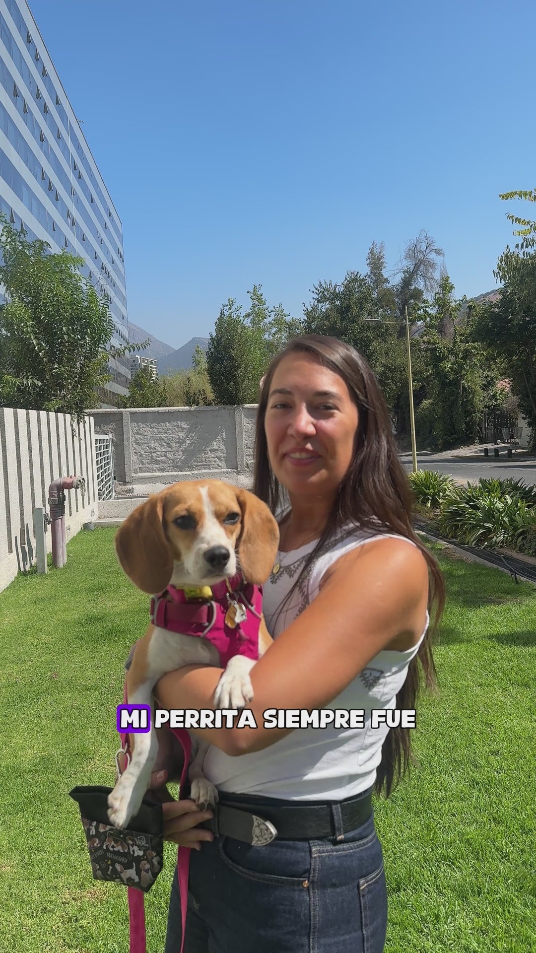 - Pack Mix 12 - Alimento Húmedo Cocinado para Perros