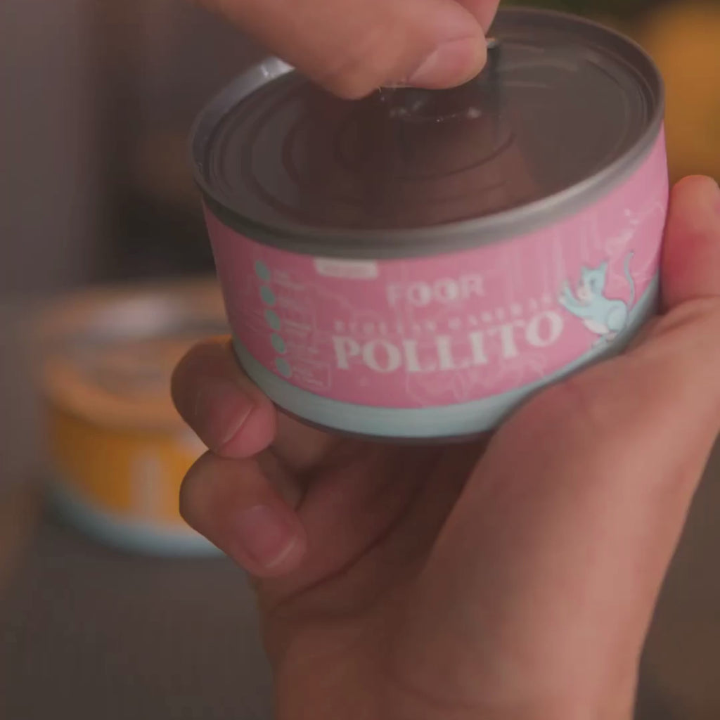 Recetas Caseras Pollito para gatos
