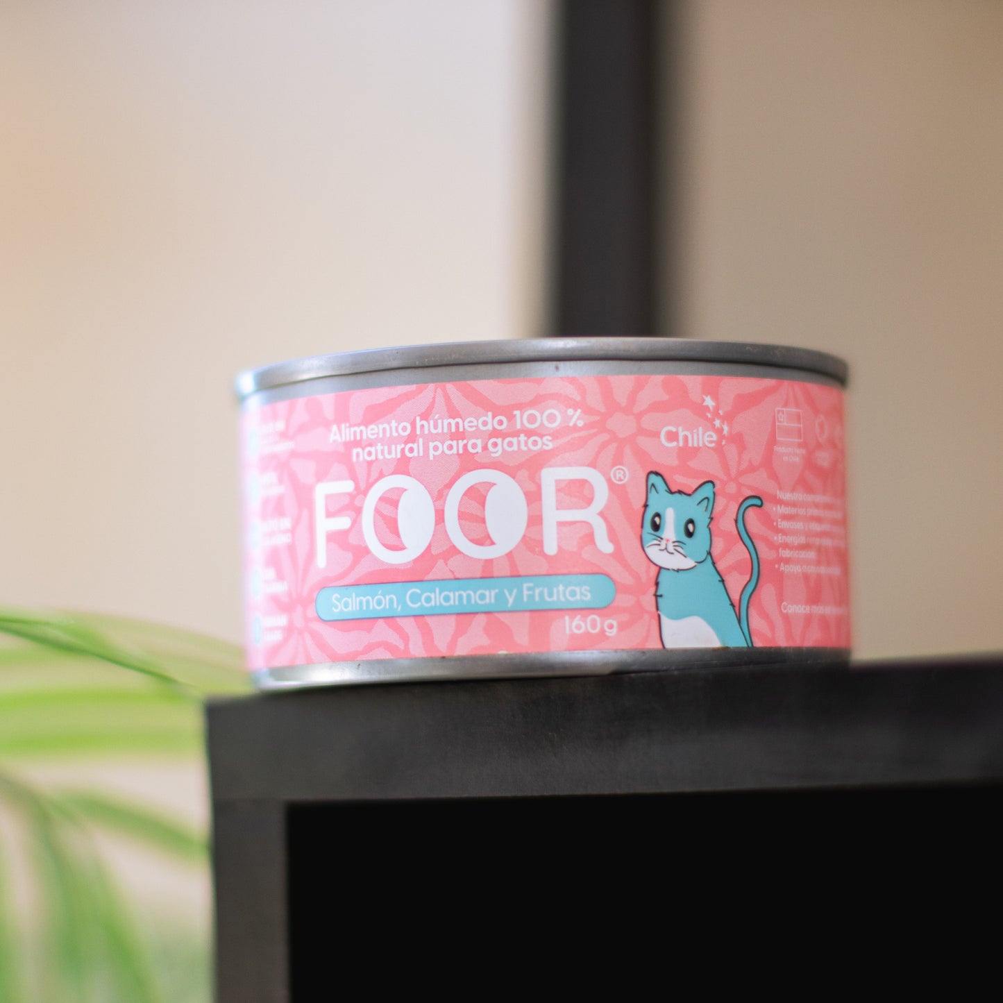 Foor original para gatos