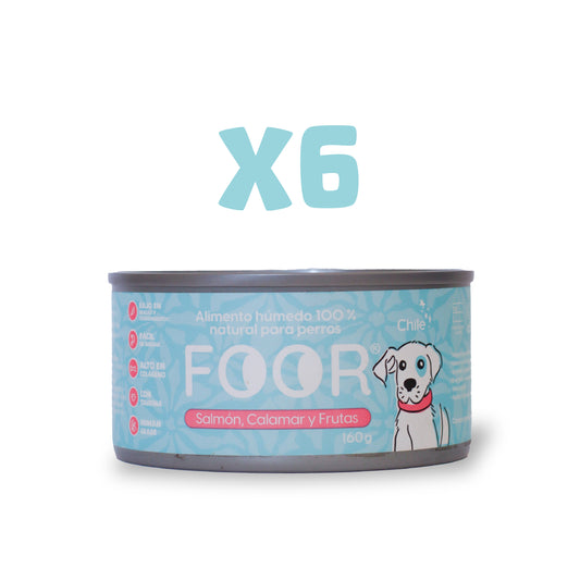 Foor original para perros x6