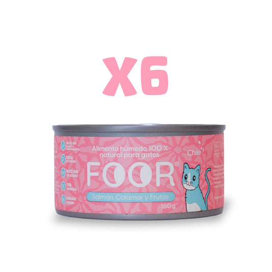 Foor original para gatos x6